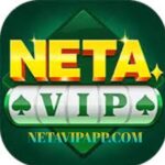 Neta vip game