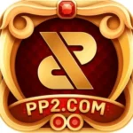 PP2 GAME