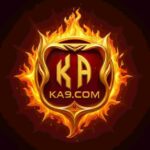 KA9 GAME