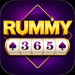 Rummy 365 Game