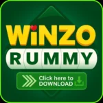 Winzo Rummy Game
